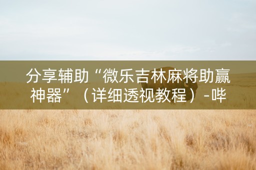 分享辅助“微乐吉林麻将助赢神器”（详细透视教程）-哔哩哔哩