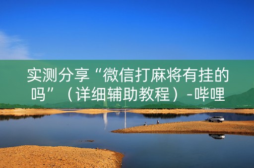 实测分享“微信打麻将有挂的吗”（详细辅助教程）-哔哩哔哩
