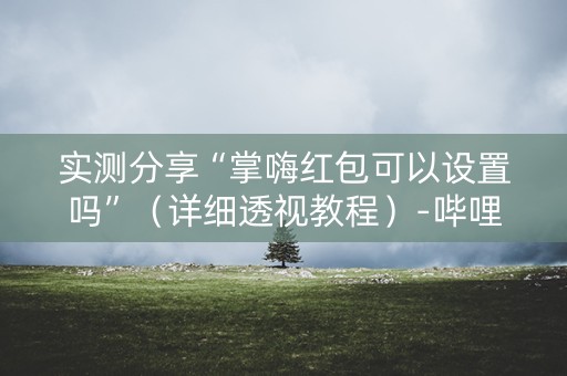 实测分享“掌嗨红包可以设置吗”（详细透视教程）-哔哩哔哩