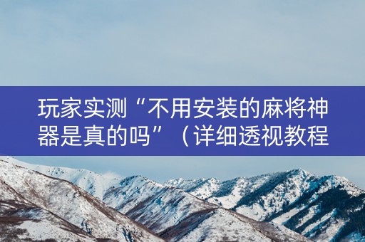 玩家实测“不用安装的麻将神器是真的吗”（详细透视教程）-哔哩哔哩
