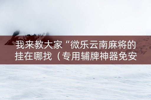 我来教大家“微乐云南麻将的挂在哪找（专用辅牌神器免安装）