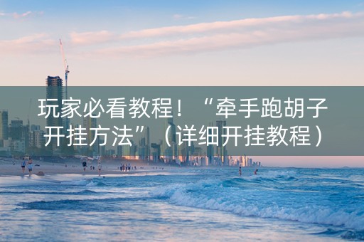 玩家必看教程！“牵手跑胡子开挂方法”（详细开挂教程）-哔哩哔哩