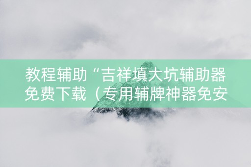 教程辅助“吉祥填大坑辅助器免费下载（专用辅牌神器免安装）