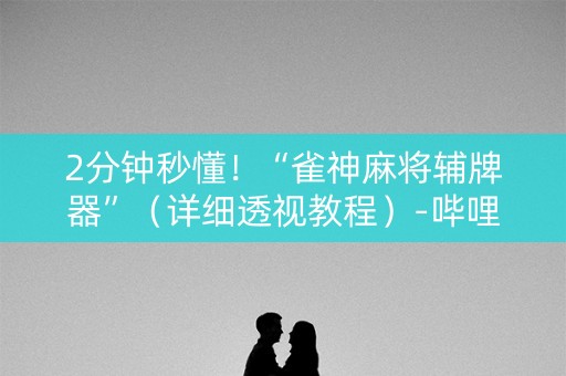 2分钟秒懂！“雀神麻将辅牌器”（详细透视教程）-哔哩哔哩