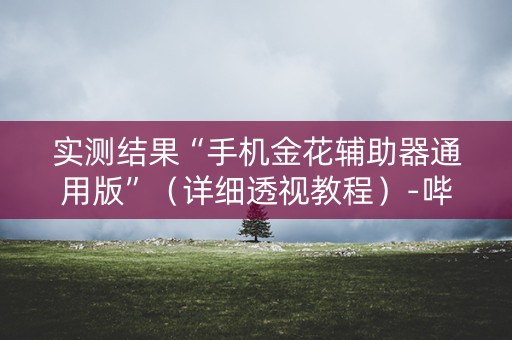 实测结果“手机金花辅助器通用版”（详细透视教程）-哔哩哔哩