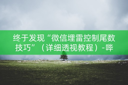 终于发现“微信埋雷控制尾数技巧”（详细透视教程）-哔哩哔哩