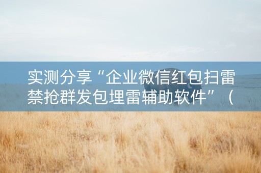 实测分享“企业微信红包扫雷禁抢群发包埋雷辅助软件”（详细透视教程）-哔哩哔哩