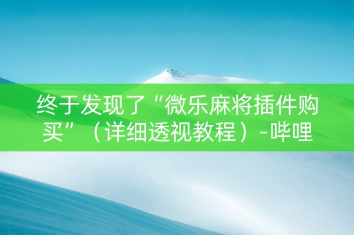 终于发现了“微乐麻将插件购买”（详细透视教程）-哔哩哔哩