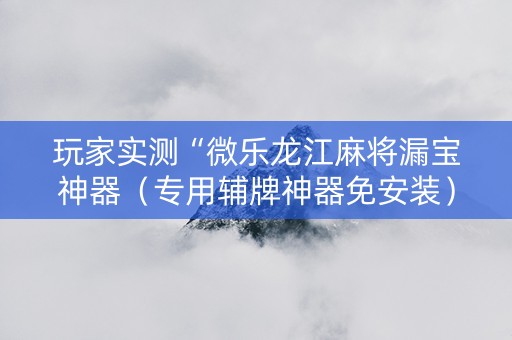 玩家实测“微乐龙江麻将漏宝神器（专用辅牌神器免安装）