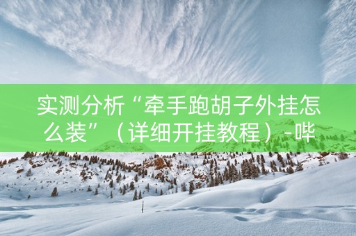 实测分析“牵手跑胡子外挂怎么装”（详细开挂教程）-哔哩哔哩