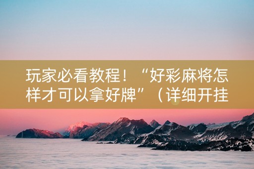 玩家必看教程！“好彩麻将怎样才可以拿好牌”（详细开挂教程）-哔哩哔哩