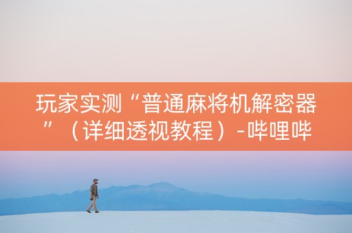 玩家实测“普通麻将机解密器”（详细透视教程）-哔哩哔哩