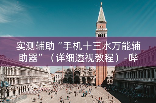 实测辅助“手机十三水万能辅助器”（详细透视教程）-哔哩哔哩