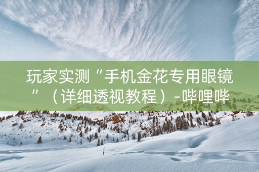 玩家实测“手机金花专用眼镜”（详细透视教程）-哔哩哔哩