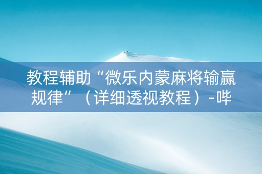 教程辅助“微乐内蒙麻将输赢规律”（详细透视教程）-哔哩哔哩