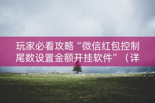 玩家必看攻略“微信红包控制尾数设置金额开挂软件”（详细透视教程）-哔哩哔哩