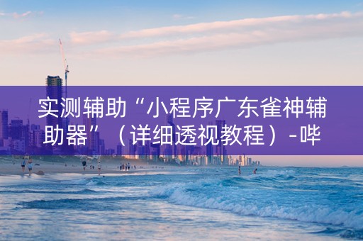 实测辅助“小程序广东雀神辅助器”（详细透视教程）-哔哩哔哩