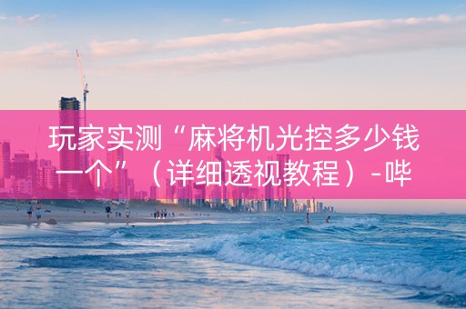 玩家实测“麻将机光控多少钱一个”（详细透视教程）-哔哩哔哩