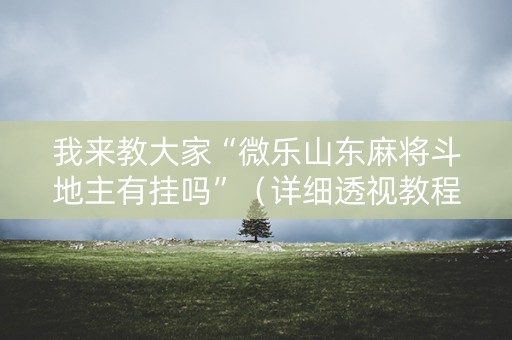 我来教大家“微乐山东麻将斗地主有挂吗”（详细透视教程）-哔哩哔哩