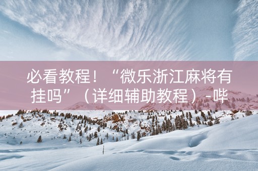 必看教程！“微乐浙江麻将有挂吗”（详细辅助教程）-哔哩哔哩