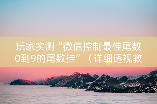 玩家实测“微信控制最佳尾数0到9的尾数挂”（详细透视教程）-哔哩哔哩
