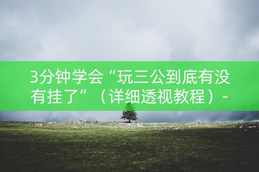 3分钟学会“玩三公到底有没有挂了”（详细透视教程）-哔哩哔哩