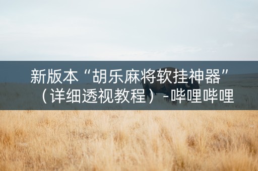 新版本“胡乐麻将软挂神器”（详细透视教程）-哔哩哔哩