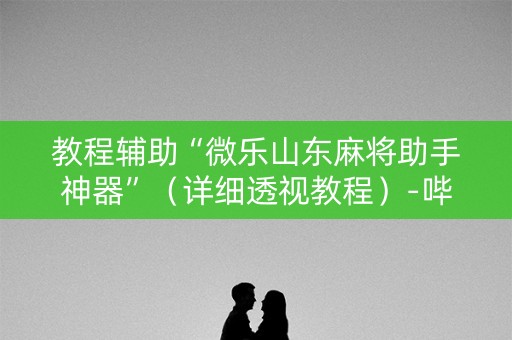 教程辅助“微乐山东麻将助手神器”（详细透视教程）-哔哩哔哩