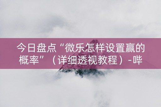 今日盘点“微乐怎样设置赢的概率”（详细透视教程）-哔哩哔哩