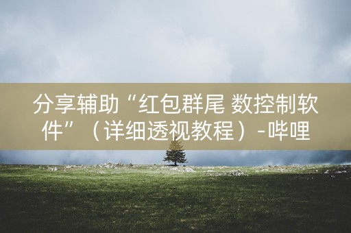 分享辅助“红包群尾 数控制软件”（详细透视教程）-哔哩哔哩