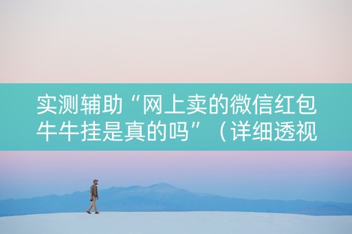 实测辅助“网上卖的微信红包牛牛挂是真的吗”（详细透视教程）-哔哩哔哩