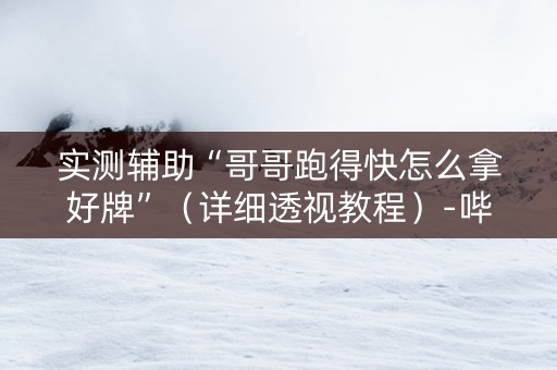 实测辅助“哥哥跑得快怎么拿好牌”（详细透视教程）-哔哩哔哩