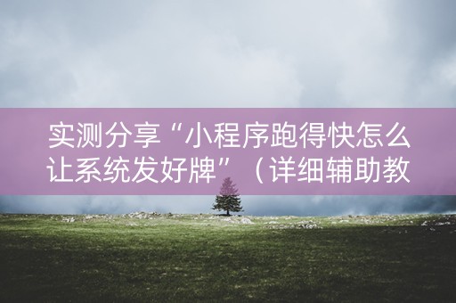 实测分享“小程序跑得快怎么让系统发好牌”（详细辅助教程）-哔哩哔哩