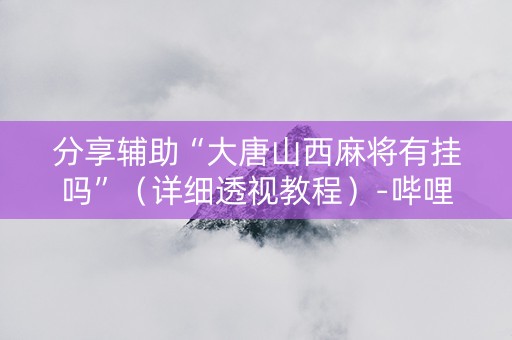分享辅助“大唐山西麻将有挂吗”（详细透视教程）-哔哩哔哩