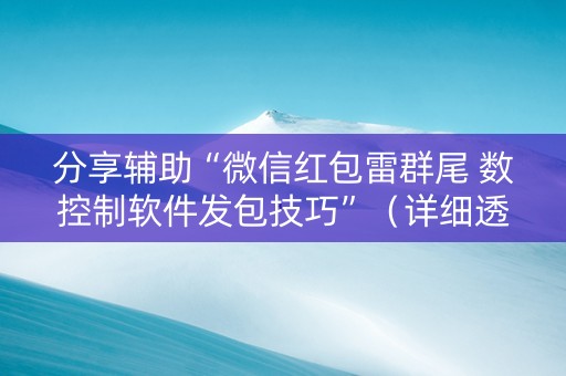 分享辅助“微信红包雷群尾 数控制软件发包技巧”（详细透视教程）-哔哩哔哩