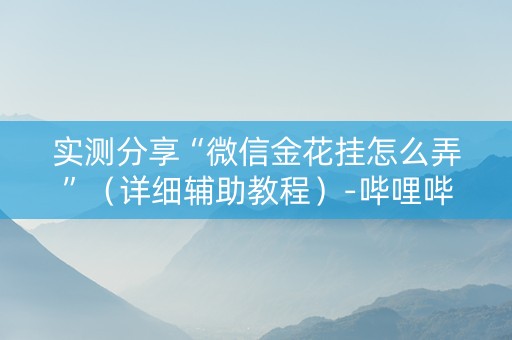 实测分享“微信金花挂怎么弄”（详细辅助教程）-哔哩哔哩
