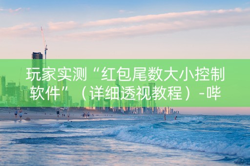 玩家实测“红包尾数大小控制软件”（详细透视教程）-哔哩哔哩