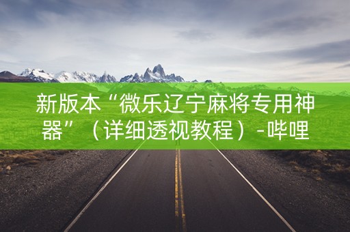 新版本“微乐辽宁麻将专用神器”（详细透视教程）-哔哩哔哩
