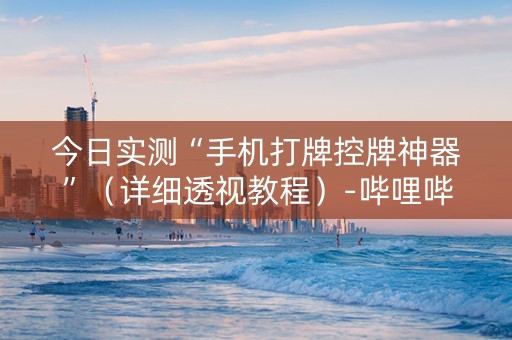今日实测“手机打牌控牌神器”（详细透视教程）-哔哩哔哩