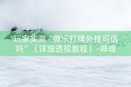 玩家实测“微乐打牌外挂可信吗”（详细透视教程）-哔哩哔哩
