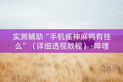 实测辅助“手机雀神麻将有挂么”（详细透视教程）-哔哩哔哩