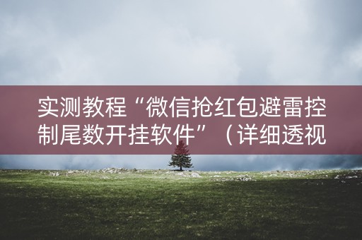 实测教程“微信抢红包避雷控制尾数开挂软件”（详细透视教程）-哔哩哔哩