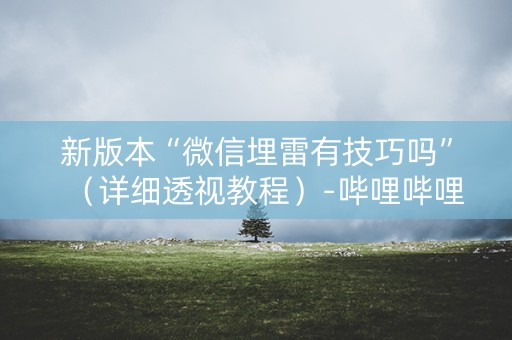 新版本“微信埋雷有技巧吗”（详细透视教程）-哔哩哔哩
