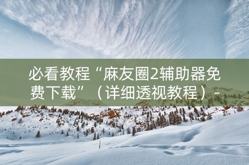 必看教程“麻友圈2辅助器免费下载”（详细透视教程）-哔哩哔哩
