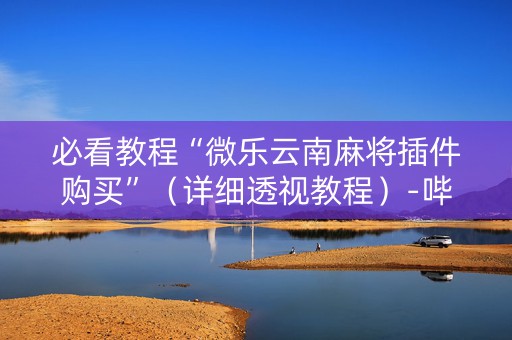 必看教程“微乐云南麻将插件购买”（详细透视教程）-哔哩哔哩