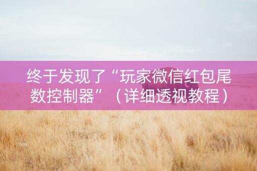 终于发现了“玩家微信红包尾数控制器”（详细透视教程）-哔哩哔哩