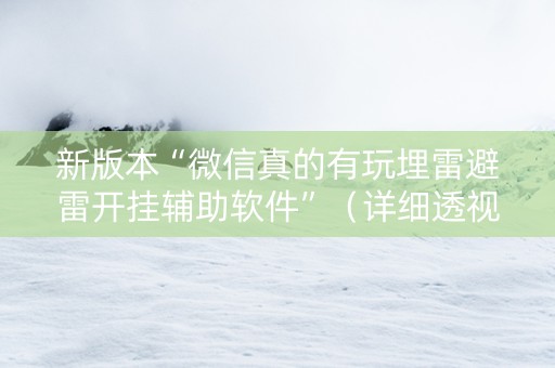 新版本“微信真的有玩埋雷避雷开挂辅助软件”（详细透视教程）-哔哩哔哩