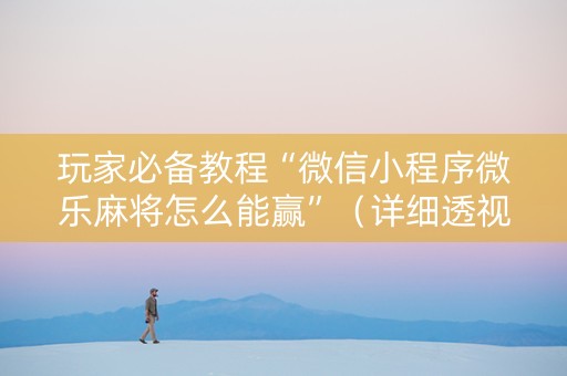 玩家必备教程“微信小程序微乐麻将怎么能赢”（详细透视教程）-哔哩哔哩