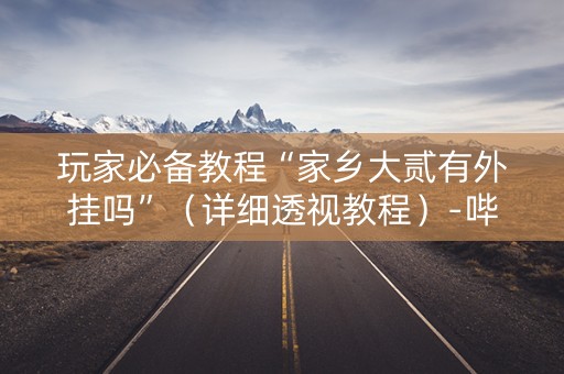 玩家必备教程“家乡大贰有外挂吗”（详细透视教程）-哔哩哔哩