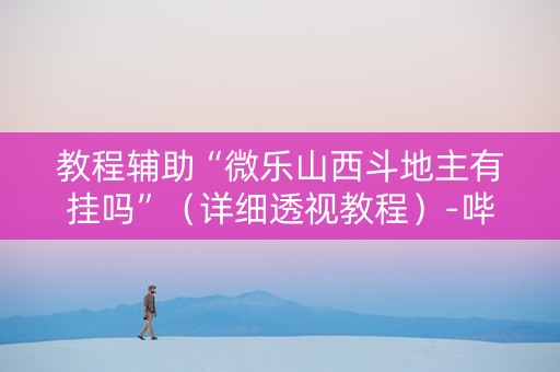 教程辅助“微乐山西斗地主有挂吗”（详细透视教程）-哔哩哔哩